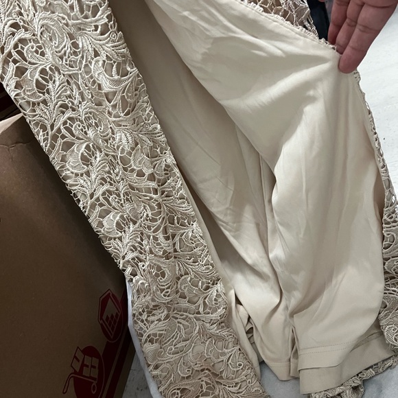 Elegant formal cap sleeve lace column gown by Adrianna Papell. - Picture 7 of 11